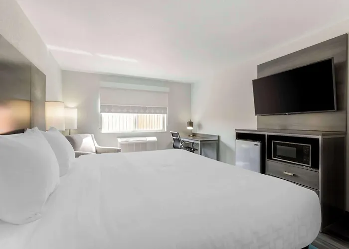 Clarion Pointe 4*